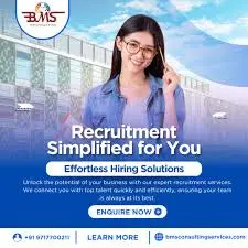 BMS Consulting Services